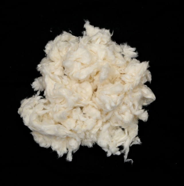 Baumwolle - 1 kg